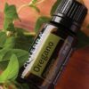 reines ätherisches Oregano Öl von doTERRA