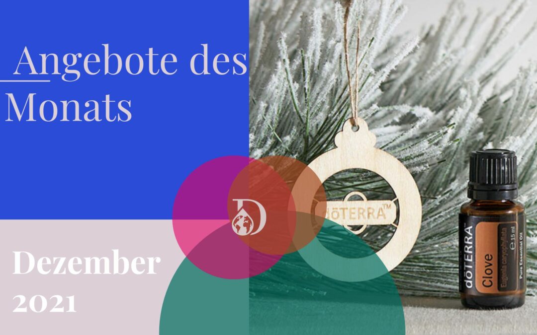 Dezember 2021: Angebote, News & Events